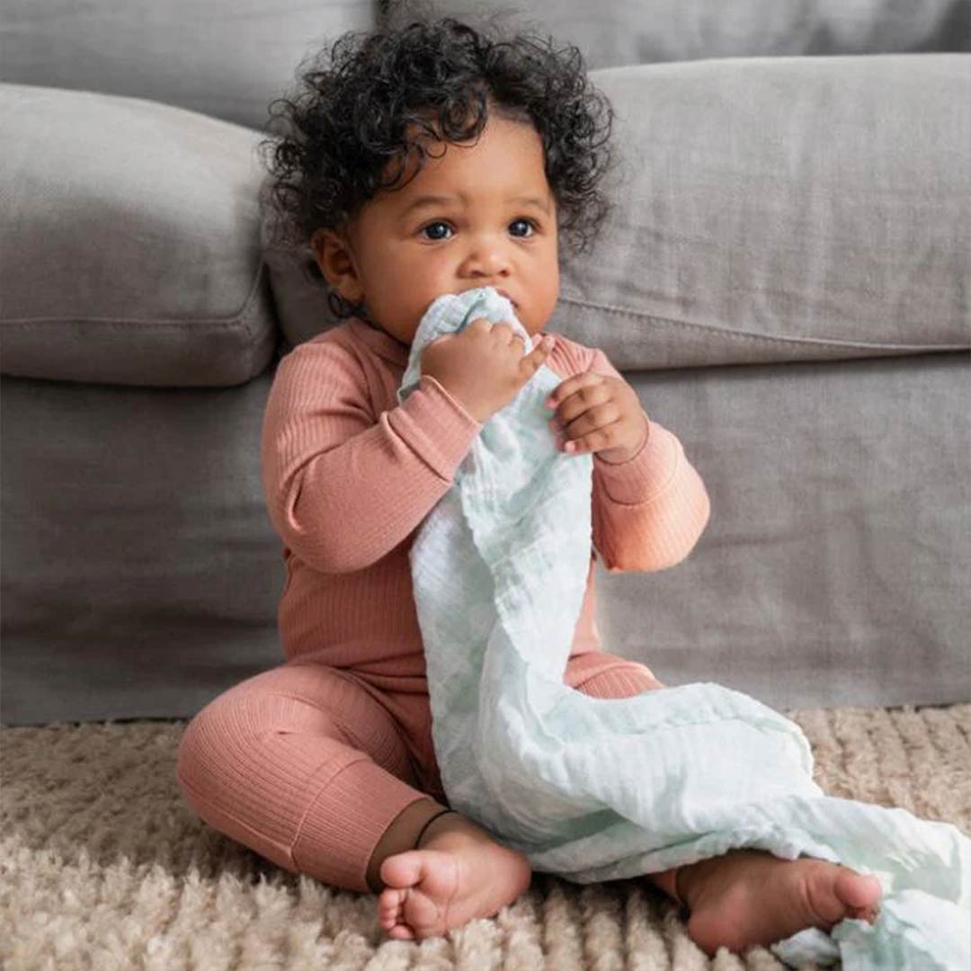 aden + anais Essentials Cotton Muslin Squares 5 Pack - Elephant Circus
