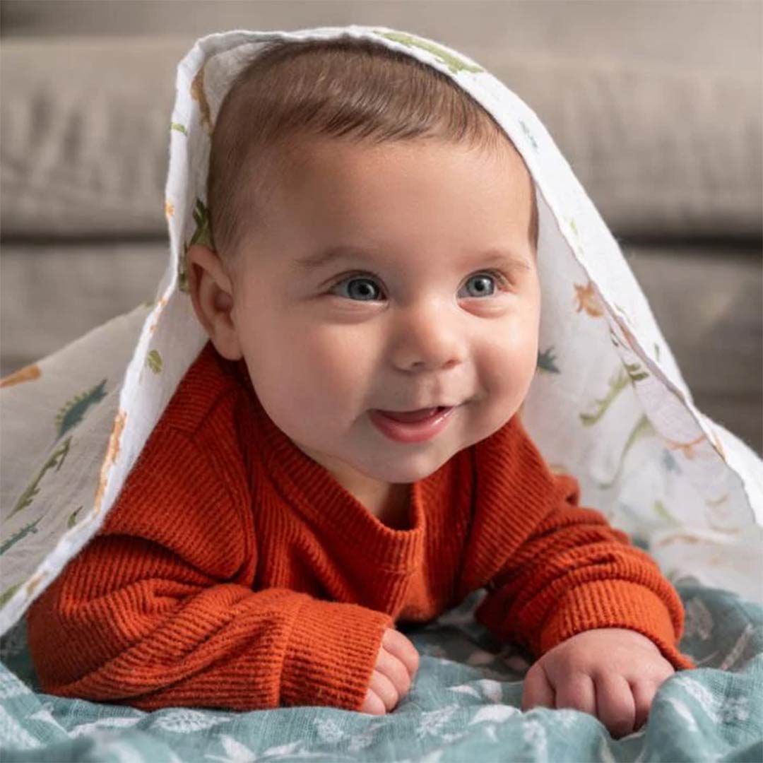 aden + anais Essentials Cotton Muslin Swaddle Blankets 2pk - Dino Jungle