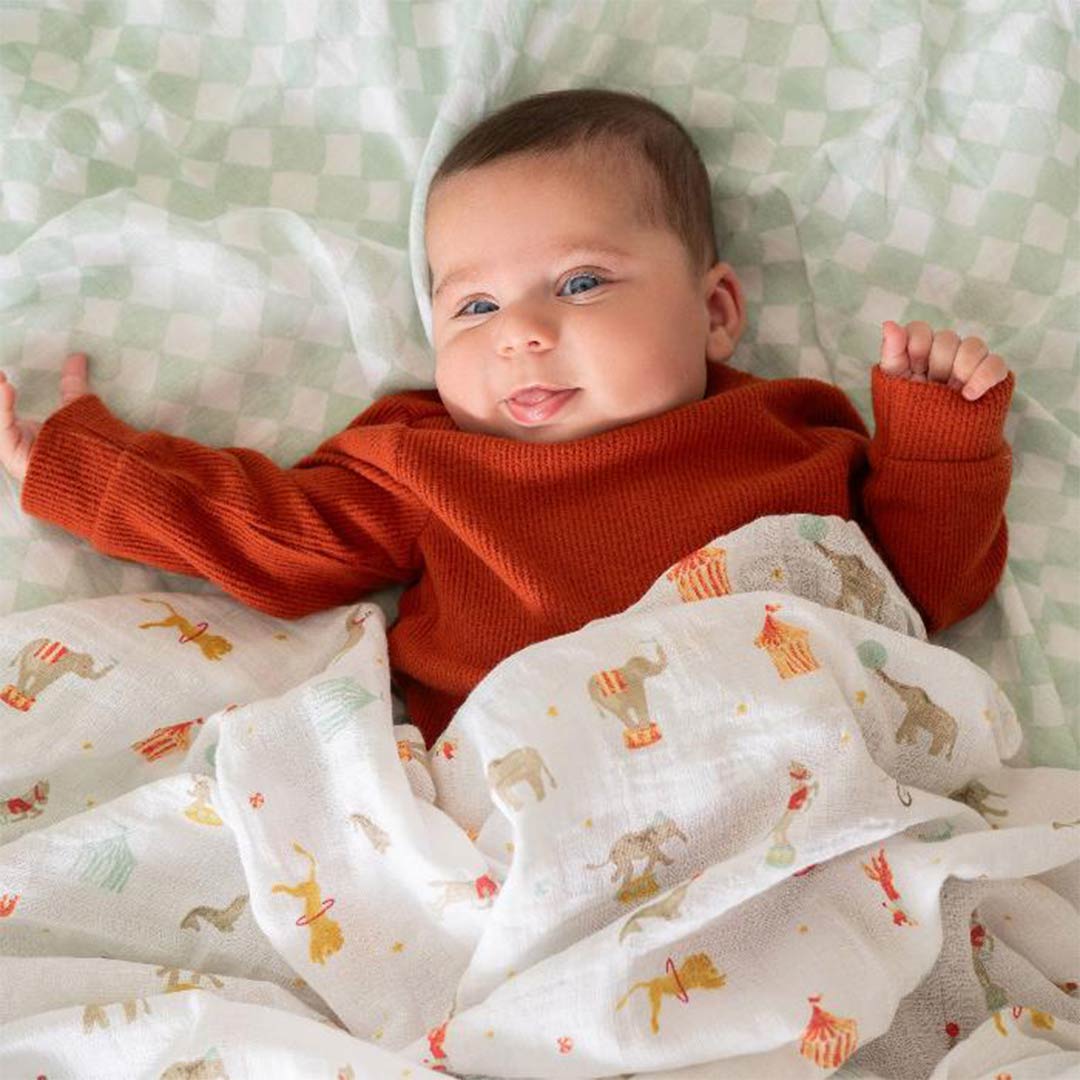 aden + anais Essentials Cotton Muslin Swaddle Blankets 2pk - Elephant Circus